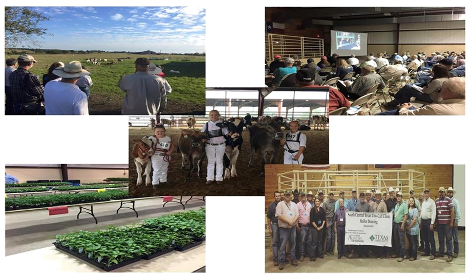 Washington County Extension Agriculture Pictures